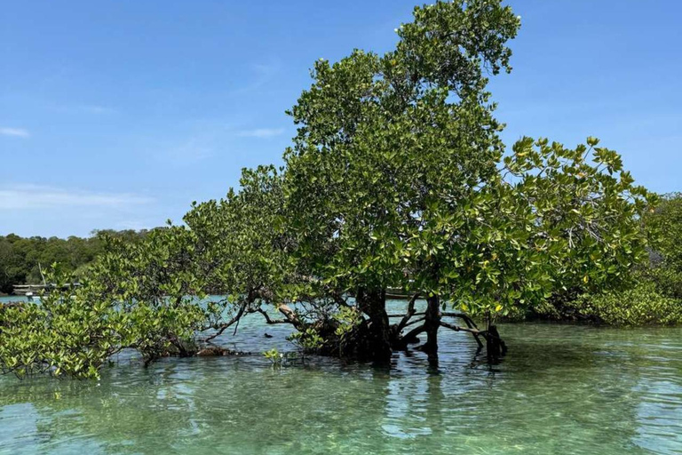 ZANZIBAR : Safari Blue Honeymoon tourExcursion sans prise en charge et retour à l'hôtel
