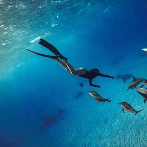 Hurghada or Makadi: Discover the Magic of Dolphin House