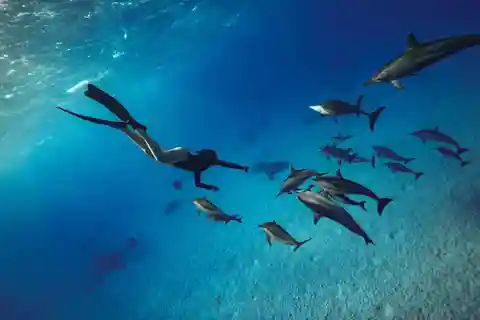 Hurghada oder Makadi: Entdecke den Zauber des Dolphin House