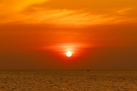 Red River Tours - Enjoying Sunset & Night Squid Fishing - Image 2
