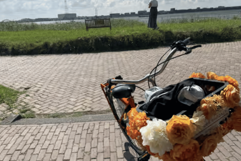 Amsterdam: E-Bike, Cheese, Windmill & Countryside Tour