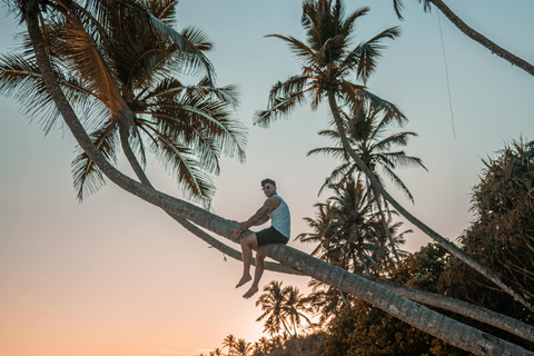 Sri Lanka: 9-Day Honeymoon Tour with Accommodation