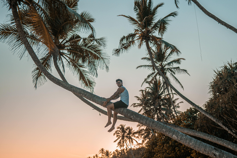 Sri Lanka: 9-Day Honeymoon Tour with Accommodation