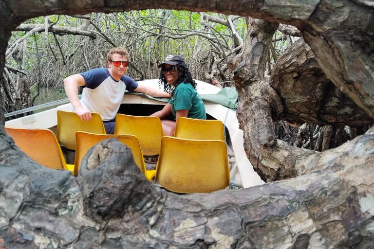 From Colombo: Galle Fort & Madu River Safari Escape From Colombo: Private Cultural Crafts & Beach Day Tour