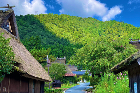 Da Nara: tour privato in auto del villaggio dal tetto di paglia di Kyoto