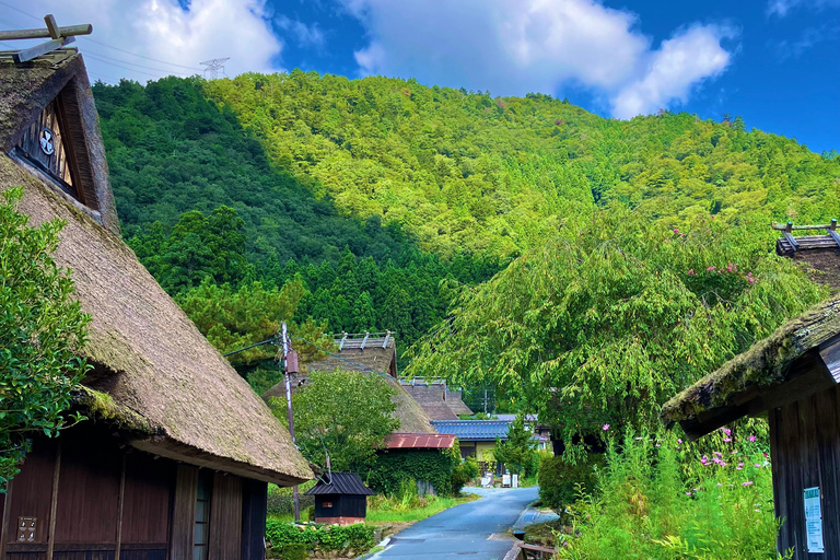 Da Nara: tour privato in auto del villaggio dal tetto di paglia di Kyoto