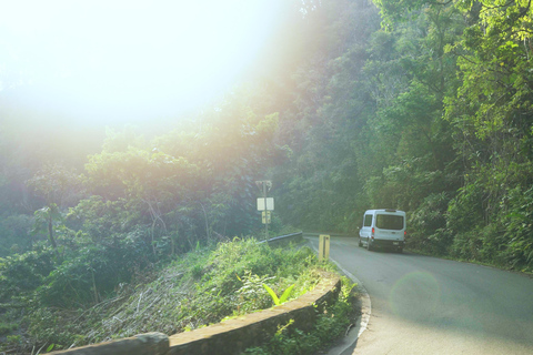 From Maui: Road to Hana Rainforest and Waterfall Experience