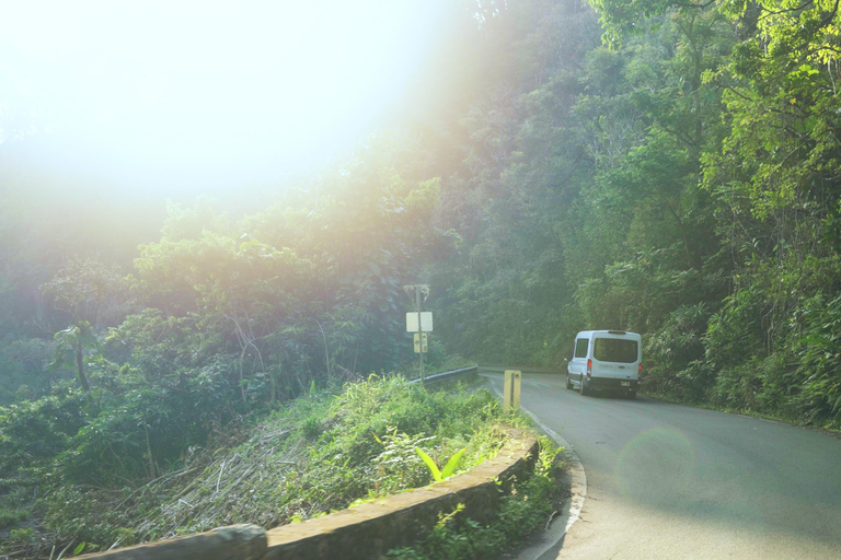 From Maui: Road to Hana Rainforest and Waterfall Experience