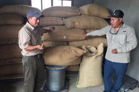 Huatulco: Pluma Hidalgo Coffee Origin and Essence.