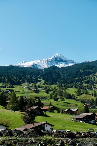 Zurich to Grindelwald: Private Transfer & First Tickets