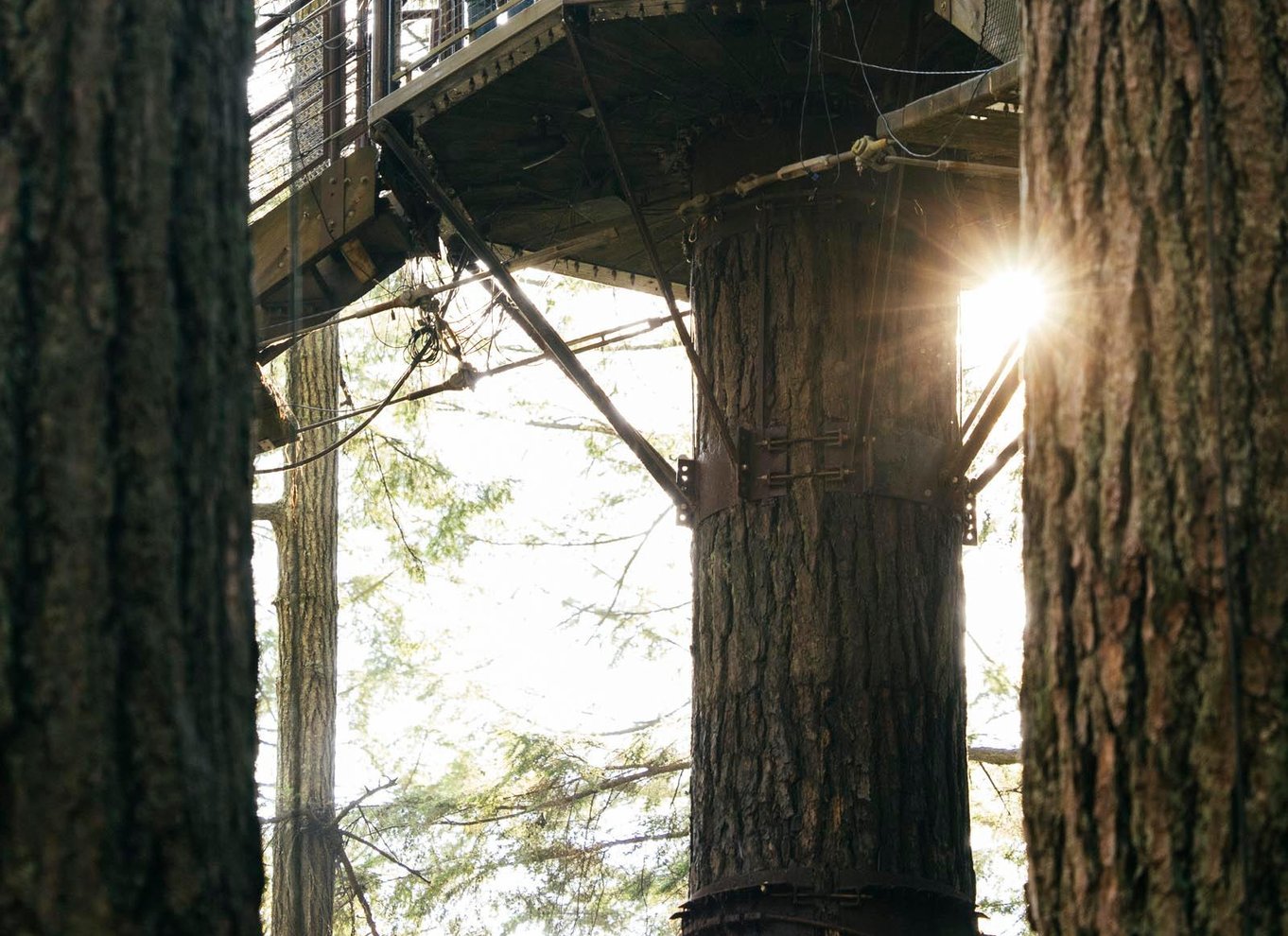 Vancouver: Capilano Suspension Bridge Park billet