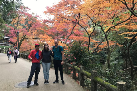 Marche dans la forêt de Mino à Osaka et chute d&#039;eau géante avec déjeuner local