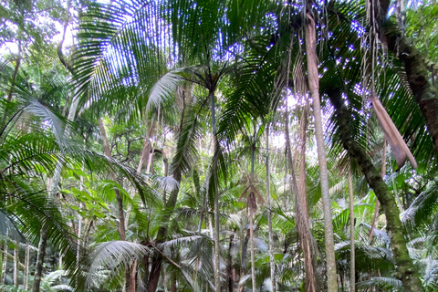 São Paulo: Führung durch den Botanischen Garten