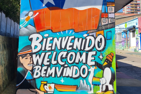 Santiago: Viña del Mar + Casa Blanca Valley + Valparaiso Heritage Tour