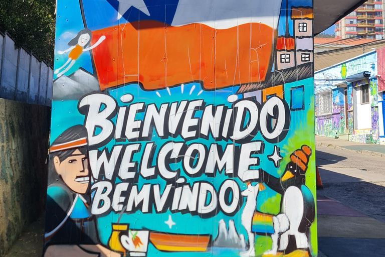 Santiago: Viña del Mar + Casa Blanca Valley + Valparaiso Heritage Tour