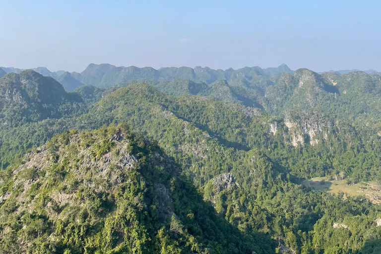 Half day Hiking Cat Ba National Park With guide
