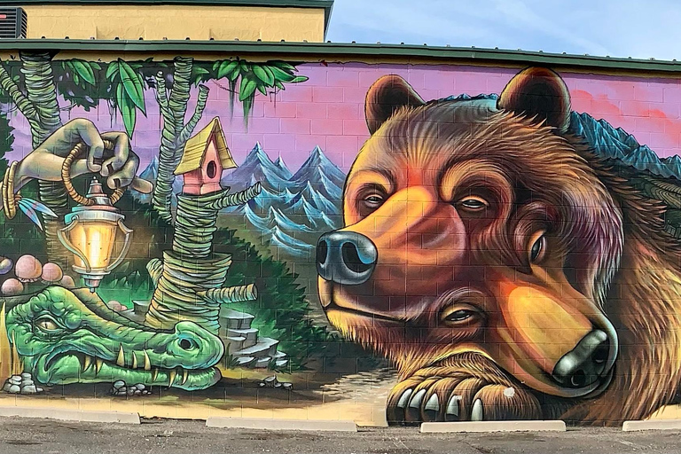 Denver: North RiNo Art District Graffiti and Street Art Tour