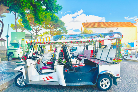 Lissabon: Belem mit dem elektrischen Tuk Tuk entdecken