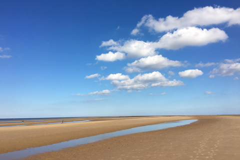 From Cambridge: Guided day trip to the North Norfolk Coast