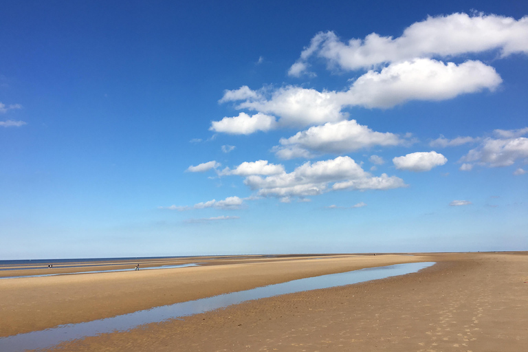 From Cambridge: Guided day trip to the North Norfolk Coast