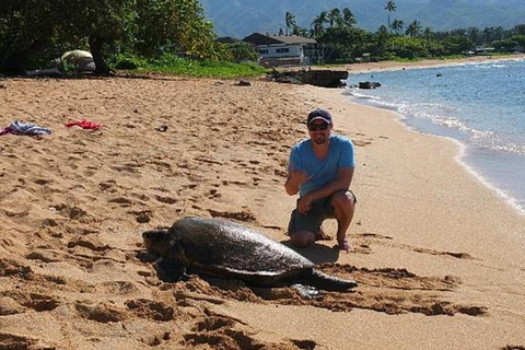 Oahu: Excursión de un día a la Isla Circle con Actividad en la Costa Norte