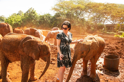 Przejażdżka safari w parku Nairobi, sierociniec dla słoni i centrum żyraf