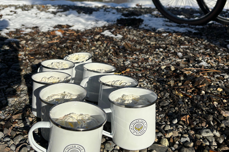 Tour invernale in e-bike a Interlaken: fiumi, laghi e foreste