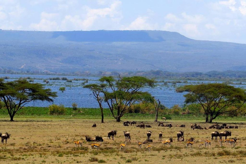 Kenya: 10-Day Wildlife and Cultural Safari