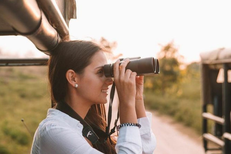 CMB/Negombo: Sigiriya, Kandy & Ella Private Tour with Driver Private Van with Driver – Up to 50 km