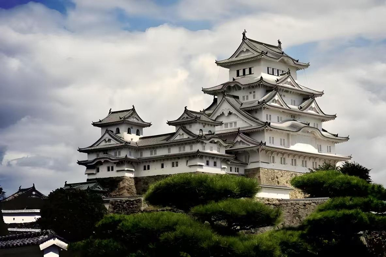 Kobe: Shore Excursion for Cruise Guest(Small Group/Private) Small Group