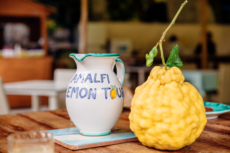 Amalfi: Vertical Lemon Farm Tour, Tastings, and Rural Museum