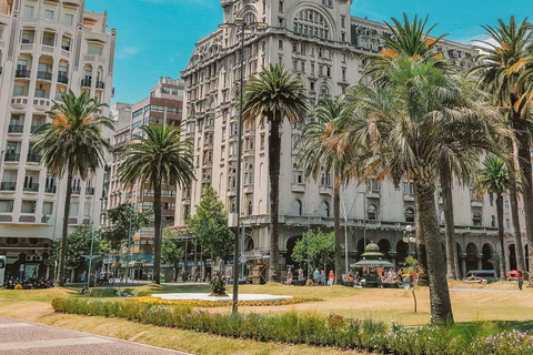 Montevideo: MVD Airport Private Transfer to/from City Center Arrival: MVD Airport to hotel in Montevideo city center