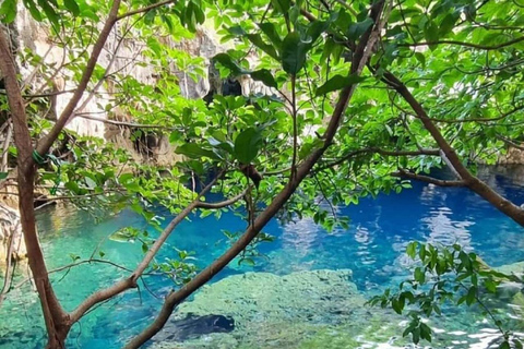 Zanzibar: Jozani Forest & Salaam Cave + Pickup & Entry fees Private Group: with Hotel Pickup from ALL HOTELS in Zanzibar
