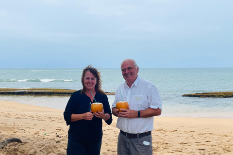 Colombo Porto di crociera: Galle, incubatoio delle tartarughe e safari sul fiume