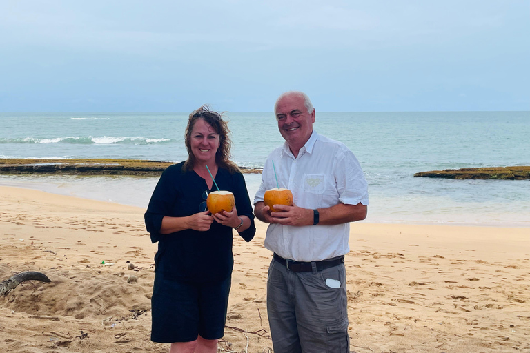 Colombo Cruisehaven: Galle, schildpaddenkwekerij &amp; riviersafari