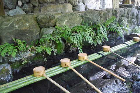 Ontdek de hoogtepunten in Kyoto &amp; Nara in 3 DAGEN!