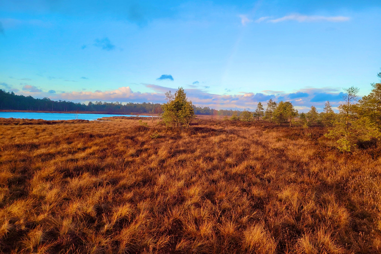 Ķemeri Bogs Adventure: Explore Wetlands In Bog Shoes