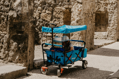 Da Roma: Escursione di un giorno alle rovine di Pompei con il treno ad alta velocitàPompei: tour a piedi in Italia