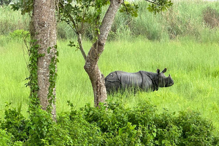 From Kathmandu to Chitwan: Jungle Safari + Meals &amp; Transport