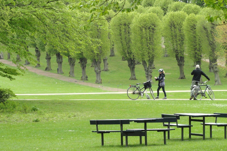 O melhor de Copenhaga: Excursão a pé particular com um localExcursão a pé privada pela cidade - 2Hr