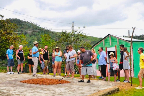 Punta Cana : Safari culturel Basilique Higuey Prise en charge de l&#039;hôtel en petit groupeVisite culturelle de la ville dominicaine