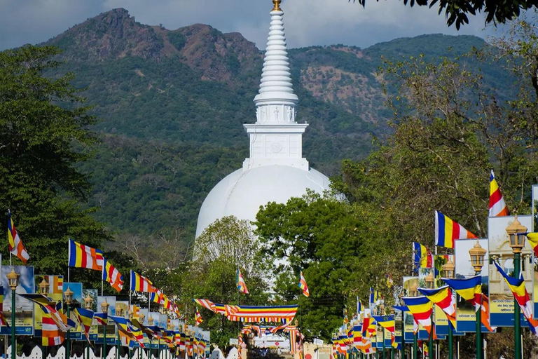 From Sigiriya to Ella Transfer with Vedda Village & More