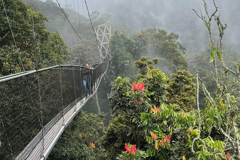 1 day: From Kigali, The canopy walk adventure at Nyungwe