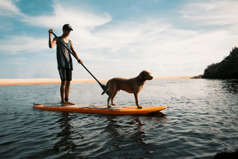 Portland : location de planches de stand up paddlePortland : Location de planches de stand up paddle