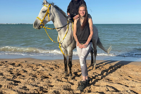Hurghada: Horse Riding in the Desert & Beach Experience 1 HR Desert Horse Riding Experience without transfer