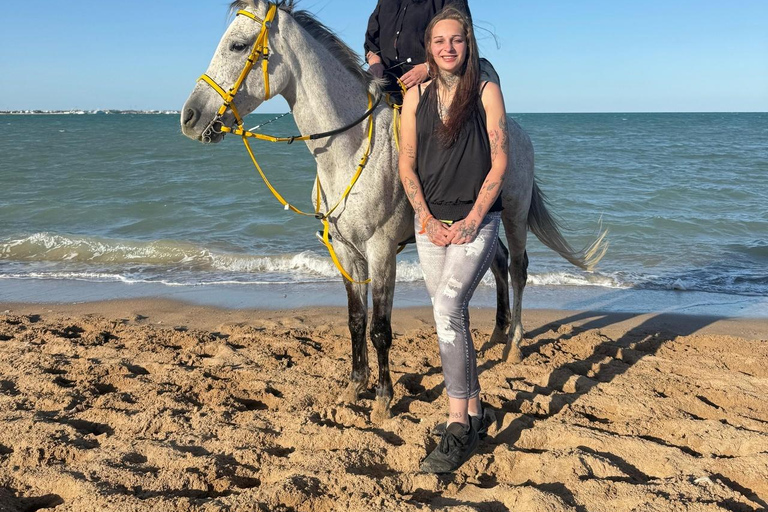 Hurghada: Horse Riding in the Desert & Beach Experience 1 HR Desert Horse Riding Experience without transfer
