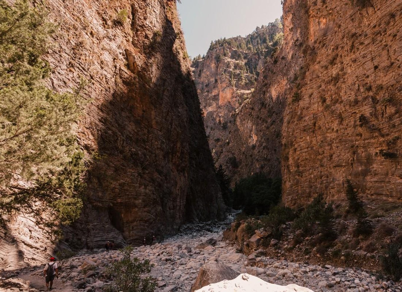 Fra Chania: Heldagsudflugt i Samaria-kløften med guide