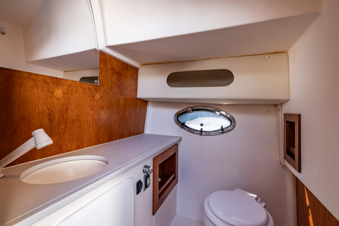 Frankfurt am Main: Private boat tour for up to 10 guests with skyline view