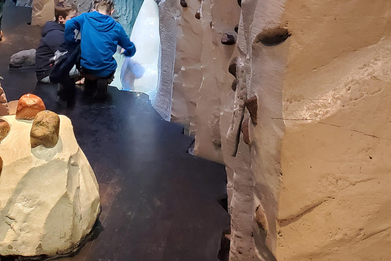 Møns Klint: Forest Tower, Møns Klint, and Fossil Hunt Tour UNESCO Møns Klint and Forest Tower Tour