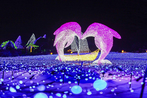 Depuis Séoul : Pêche sur glace et festival des lumières à HwacheonVisite en groupe Rendez-vous à la gare de l&#039;université de Hongik